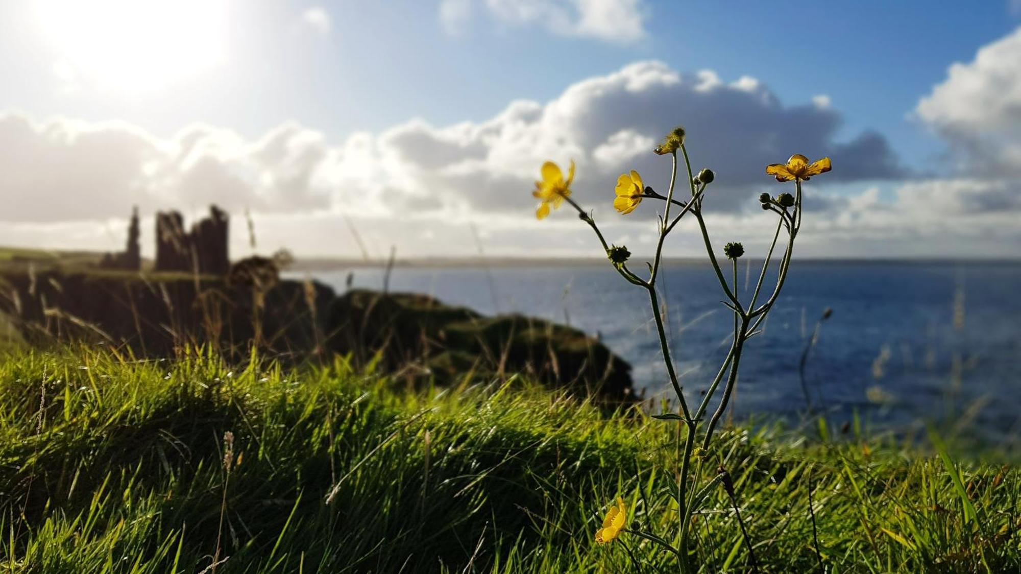 Self-Catering Lighthouse Keeper'S Cottage On The Nc500 วิค ภายนอก รูปภาพ